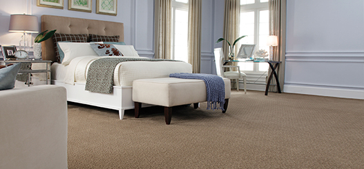 Plush & Textured Carpets